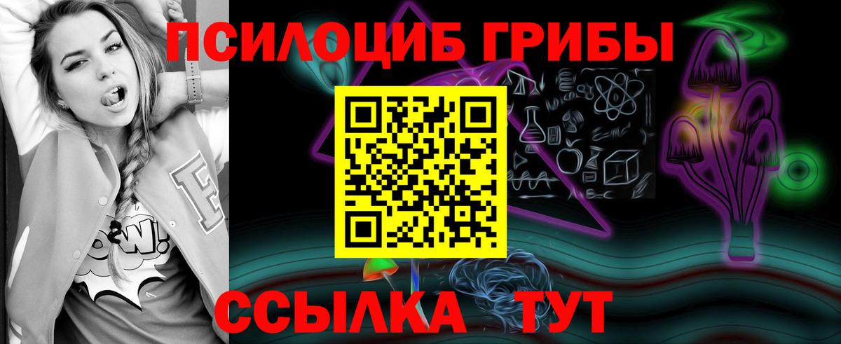 Псилоцибиновые грибы MAGIC MUSHROOMS  Галлюциногенные грибы Magic Shrooms  Балтийск  Вход с VPN 